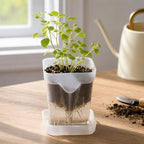 Yardwe Plastic Self Watering Seedling Cups with Tray, 2.5 Inch - Image 7