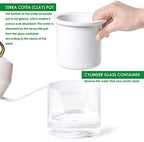 Phoenix Vine 4 Inch Self Watering Planter Pot, Design White Terracotta Pots for Plants, Indoor Cylinder Terra Cotta Pots with Glass Vase, Set of 4, 51-B-E-4 - Image 6