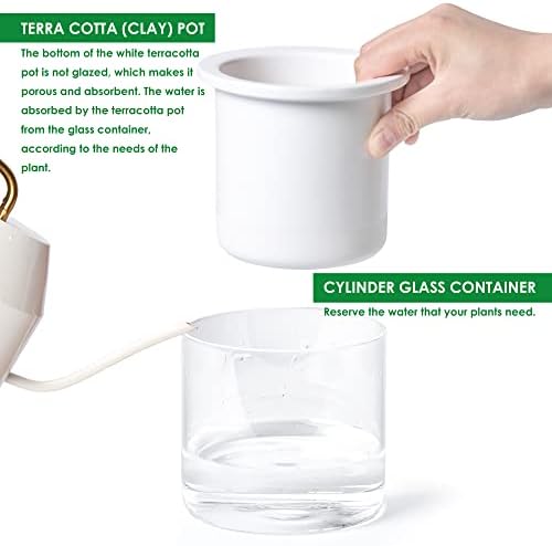 Phoenix Vine 4 Inch Self Watering Planter Pot, Design White Terracotta Pots for Plants, Indoor Cylinder Terra Cotta Pots with Glass Vase, Set of 4, 51-B-E-4 - Image 6