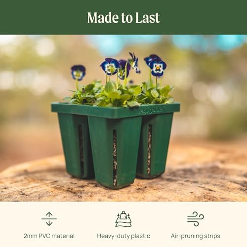 Vego garden Jumbo Seedling Trays Without Lids, 32 Pack Reusable Propagator Growing Starter Tray for Larger Plants, Heavy-Duty Plastic Germination Trays (4-Cell per Tray) - Image 2