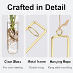 METALLIXITY Hanging Clear Glass Hydroponic Plant Propagation Tube Vase 2Pcs - Image 3