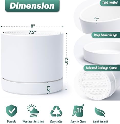 Phoenix Vine 8 Inch Planter Pot with Drainage Hole & Saucer, Deep Water Catch Tray, Straight Cylindrical Round Pot for Plants, Matte White, Pack of 1, 23-B-T-1 - Image 2
