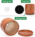 D'vine Dev Embossed Leaves Ceramic Planter, 10 in, Pumpkin, 27-A-P-J - Image 4