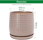 D'vine Dev Beaded Ceramic Pot with Saucer, 10 in, Light Brown, 27-C-P-4 - Image 3