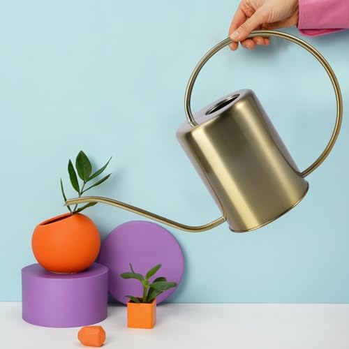 Stainless Steel Watering Can 2000ml Golden Long Spout - Image 5