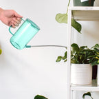 Stainless Steel Watering Can with Long Spout 2 Pack for Indoor Plants - Image 7