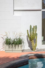 Veradek Demi Series Long Planter for Porch, Patio, Backyard | Durable Plastic-Concrete Material | Modern Décor for Shrubs, Flowers - Image 5