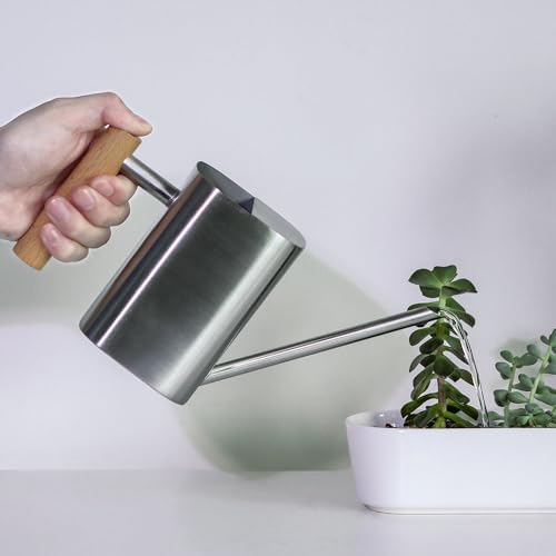 Stainless Steel Watering Can, 800ml/27oz for Indoor Plants - Image 5