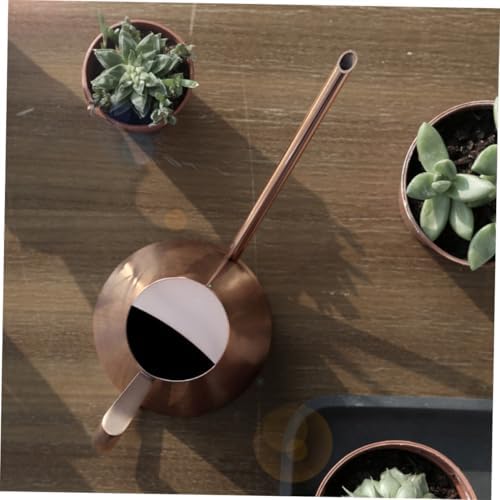 900ml Stainless Steel Watering Can with Long Spout for Plants - Image 4