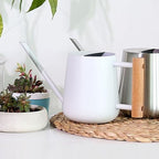 Indoor Watering Can with Long Spout, 16oz Metal Watering Can Plant Watering Can Mini Watering Can with Wood Handle for Indoor Plants, Bonsai Outdoor Garden Flower (White) - Image 4