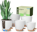 Self-Watering Pots for Indoor Plants with Visible Water Window,5/6/6.5/8/10 Inch Outdoor Flower Pots with Drainage Holes & Reservoir for Patio, Home Decor (White) by GOPROAUTO