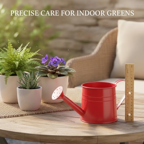 Metal Watering Can, 1 Liter Iron Vessel for Indoor Plants and Houseplants (1 PC) - Image 3