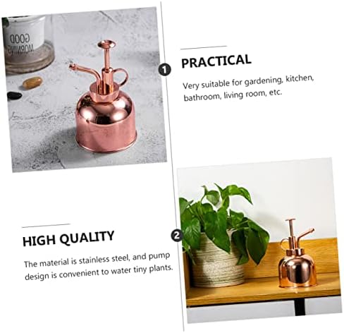 Vintage Succulent Watering Can Bottle with Pump, 300ml Stainless Steel - Image 7