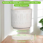 Eightpot Plant Tray for Pots - Ceramic Plant Saucer for Indoors Outdoors 7.5 Inch Plant Water Catcher Tray Plant Drainage Dray Decorative Flower Pot Saucer Plant Plates to Catch Water, Cream White - Image 3