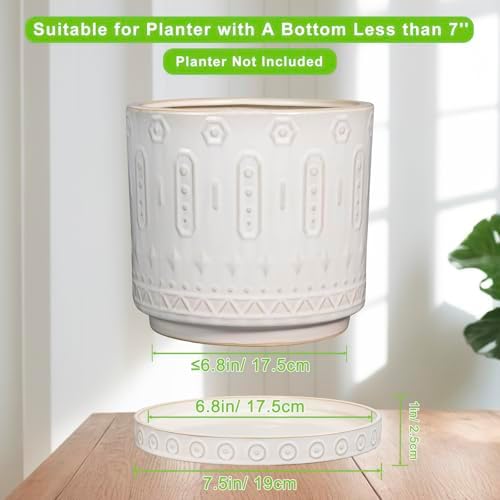 Eightpot Plant Tray for Pots - Ceramic Plant Saucer for Indoors Outdoors 7.5 Inch Plant Water Catcher Tray Plant Drainage Dray Decorative Flower Pot Saucer Plant Plates to Catch Water, Cream White - Image 3