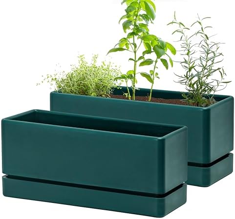 D'vine Dev 2-Pack Rectangular Planters, 12 x 4.5 in, Green, 76-X-C-2 by DvineDevPlanterPotsandStand