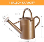 Metal Watering Can for Outdoor Plants, Galvanized Steel Watering Can with Removable spout, 1 Gallon,Perfect Home & Garden Decor Gold - Image 2