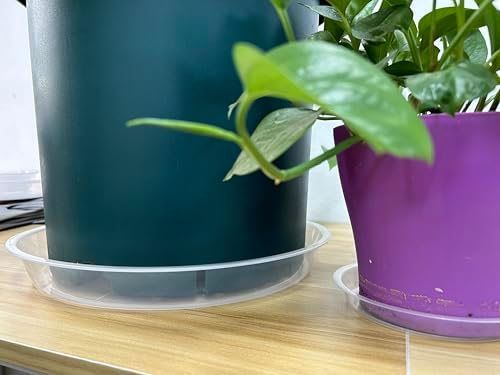 OUPSAUI 4 Pack Clear Plant Saucer 4 6 8 10 12 14 16 18 20 22 Inch Plant Trays for Pots, Plastic Extra Large Planter Saucers for Outdoors Indoors, Drip Catcher Water Tray for Plants (16 Inch) - Image 6