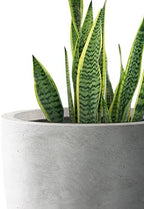 Kante Large Round Bowl Pale Gray Concrete Planter 18" Dia, Outdoor - Image 2