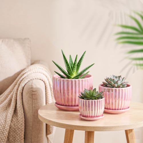 Pink Plant Pots，Ceramic Planters with Drainage Holes and Saucers Set of 3 - Image 7