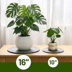 MUDEELA Diatomaceous Earth Instant Drying Plant Saucers, 16 Inches, 1 Pack - Image 5