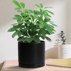 Ceramic Plant Saucer Pot Tray 6, 8, 10 Inch Black, Planter Saucers for Indoors Outdoor, Durable Sturdy Flower Drainage drip Water Tray for Glazed Pots Base - Image 4