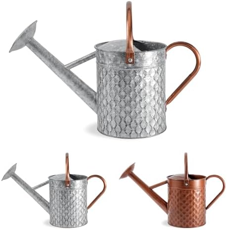 1 Gallon Metal Watering Can for Outdoor Indoor Plants, Galvanized Watering Can with Removable Spray Spout, Ideal for Garden Watering by BLstyle