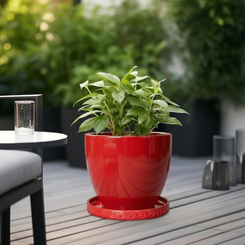 Eightpot 11.4 Inch Plant Saucers for Indoors, Plant Plates to Catch Water for Outdoor, Round Plants Drip Tray, Modern Planter Saucer, Decorative Plants Dishes to Catch Water, Flower Pot Tray, Red - Image 4