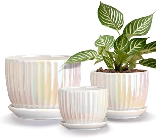 Plant Pots,Ceramic Flower Pots with Drainage Holes & Saucer Set of 3（Pearl） by TonSin