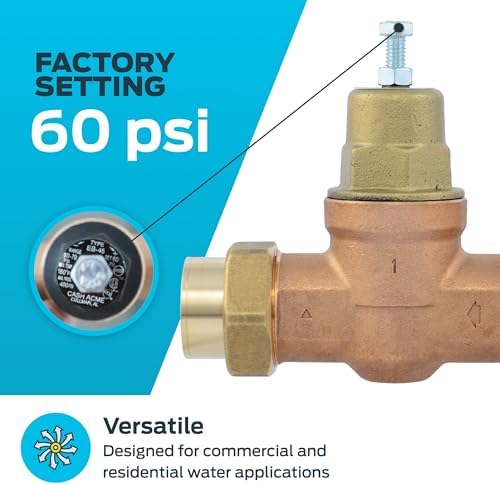 Cash Acme EB45 Pressure Regulating Valve, Double Union, 1 Inch NPT Female, Metal Top, 60 PSI, PVA20M-DUTH-60 - Image 3