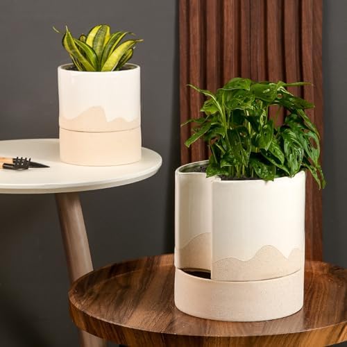 Nihow Ceramic Self Watering Plant Pot for Indoor Plants,8 Inch,White & Wave - Image 5