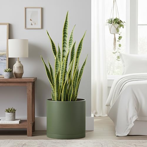 D'vine Dev Plastic Planter Pot with Saucer, 12 in, Olive, 74-X-I-3 - Image 2
