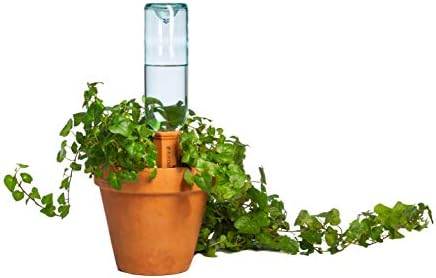 Plant Nanny 4 Count Wine & Plastic Bottle Stake Set - Image 4