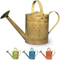 Robert Allen MPT01501 Wexley Metal Watering Can, Chamomile Yellow by Unknown