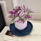 Ceramic Flower Pot Saucers, 9 Inch Plant Pot Saucers for Indoors Plants, Plant Trays for Pots Holding Water Drips and Soil, Drainage Tray for Plant Pot (Blue) - Image 5