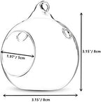 NUPTIO Hanging Glass Terrarium Globes with 2 Holes, 24 Pcs, 3.15 Inch - Image 7