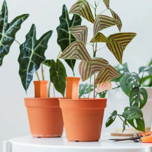 Plant Watering Spikes 6 Pcs Cotta, Self-Watering Clay Indoor and Outdoor Plants for, Efficient 5-9 Inch Pots Drip Irrigation, Easy Refill Water, Ideal for Busy Plant Owners - Image 4