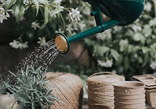 Indoor Plastic Watering Can | The HAWS The Bartley Burbler - Two Pint | Pot Waterer | Fine Spray Rose - Green - Image 4