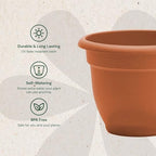Bloem Ariana 10" Plastic Self-Watering Planter, Terra Cotta, 4-Pack - Image 3