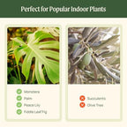 15 Inch Self-Watering Planter for Indoor Plants – Large Modern Plant Pot with Built-In Water Reservoir, Ideal for Monstera, Fiddle Leaf Fig, Palms & Peace Lily, Without Trellis (2, Cream White) - Image 4