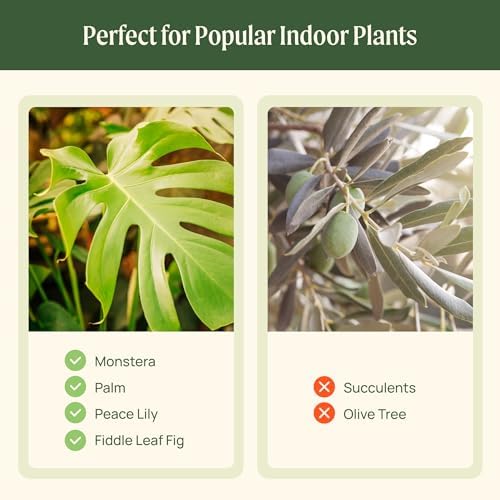 15 Inch Self-Watering Planter for Indoor Plants – Large Modern Plant Pot with Built-In Water Reservoir, Ideal for Monstera, Fiddle Leaf Fig, Palms & Peace Lily, Without Trellis (2, Cream White) - Image 4