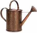 Gardenised 1-Gallon Steel Watering Can with Precision Long Spout for Controlled and Shower Watering Ideal for Indoor & Outdoor Plants Flowers & Houseplants, Brown by Gardenised