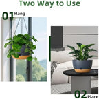 Hanging Planters, 3 Pack, Self-Watering, 10 Inch, Grey - Image 4