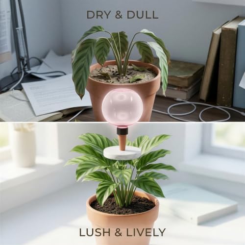 4 Pcs Self Watering Globes for Indoor Plants, Pink Ceramic Automatic Plant Waterer, Bubble Shaped Houseplant Irrigation System, 16.9 fl oz, 6.69 x 3.93 in for Potted Succulents, Flowering Plants - Image 3