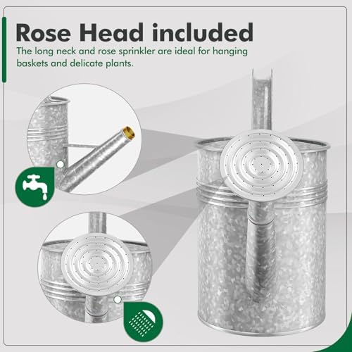 Galvanized Iron Watering Can for Indoor Plants, Oval Watering Cans for House Plant Garden Flower, Long Spout Water Can for Outdoor Watering Plants 9.46L 2.5 Gallon - Image 3