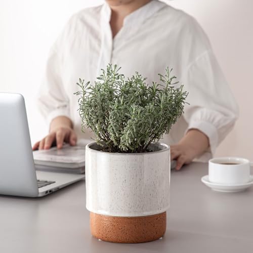 6 Inch Ceramic Self Watering Planter with Drainage Hole, Grey - Image 7