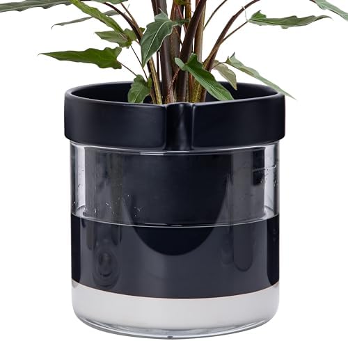 Phoenix Vine 8 Inch Self Watering Terracotta Planter, Black Terracotta Clay Pot with Glass Reservoir for Indoor Plants, Herbs, Flowers, Set of 1, 52-C-H-1 by Phoenix+Vine