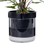 Phoenix Vine 8 Inch Self Watering Terracotta Planter, Black Terracotta Clay Pot with Glass Reservoir for Indoor Plants, Herbs, Flowers, Set of 1, 52-C-H-1 by Phoenix+Vine