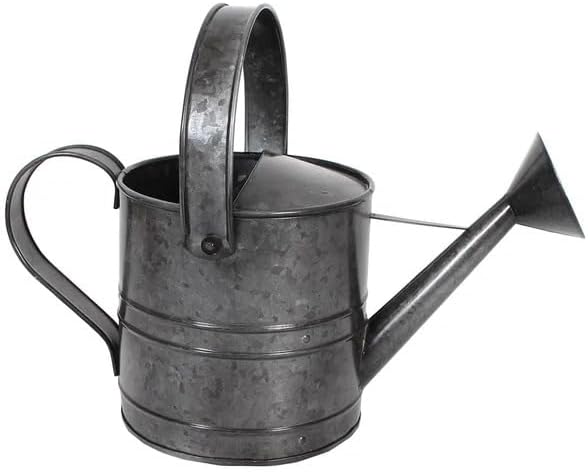 Galvanized Watering Can - Image 2