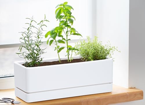 D'vine Dev 2-Pack Rectangular Planters, 12 x 4.5 in, White, 76-X-A-2 - Image 2